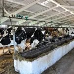 Alianza Láctea Frena la Crisis