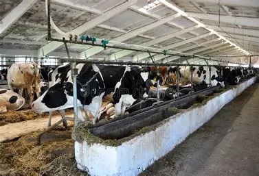 Alianza Láctea Frena la Crisis