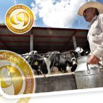 Cae Producción de Leche en Yucatán