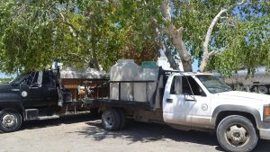 Crisis de Liquidez Liconsa Retrasa Pago a Lecheros