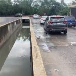 Denuncian Desechos Lácteos Contaminan Laguna