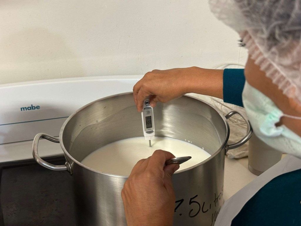 Fórmula de Éxito Clave para Valor Lácteo