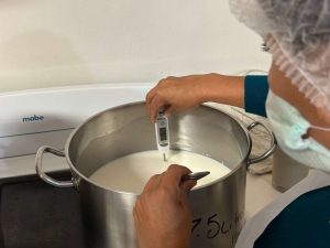 Fórmula de Éxito Clave para Valor Lácteo