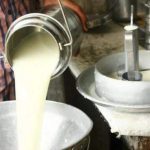 Frío Baja la Producción de Leche