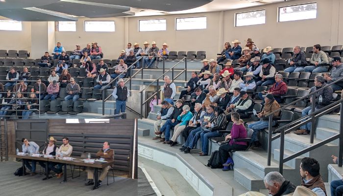 Ganaderos Exigen Reglas Claras del Agua