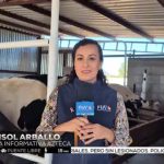 Gigante Lácteo La Historia del Productor Amir Menéndez