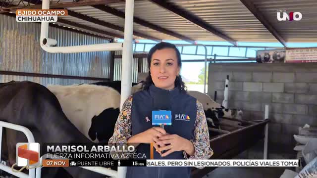 Gigante Lácteo La Historia del Productor Amir Menéndez