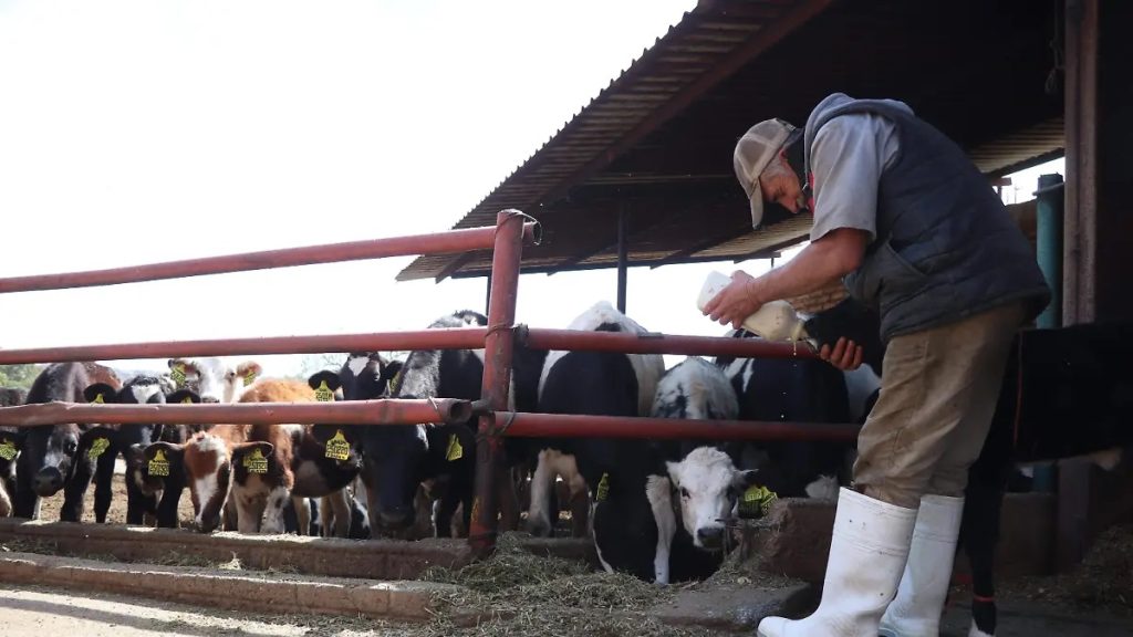 Liconsa Corta Compra de Leche