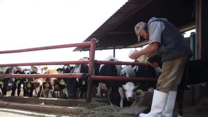 Liconsa Corta Compra de Leche