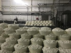 Lluvias Impulsan la Leche en BCS