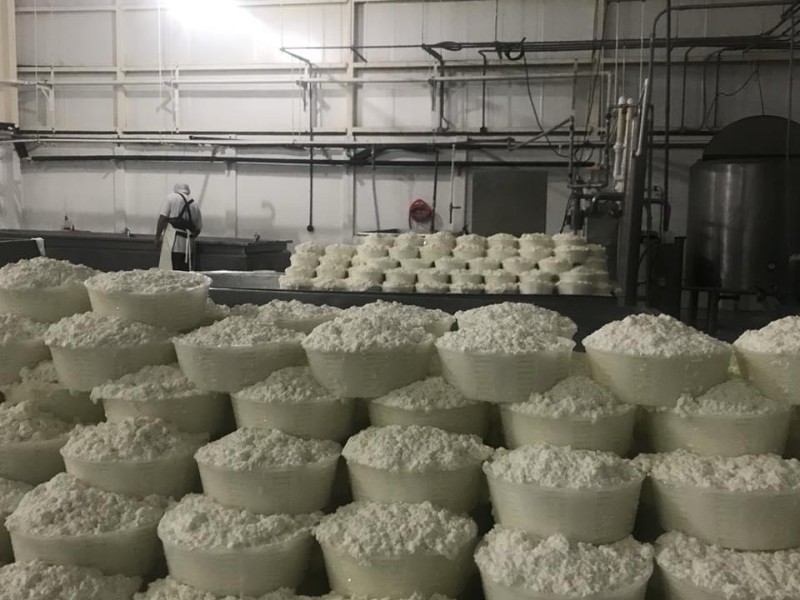 Lluvias Impulsan la Leche en BCS