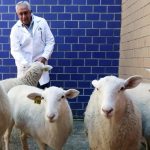 México Entra a la Era de la Clonación