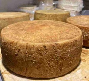 Orgullo Global Queso Andante Es Mejor de Latam