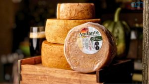 Queso Mexicano, El Mejor de América