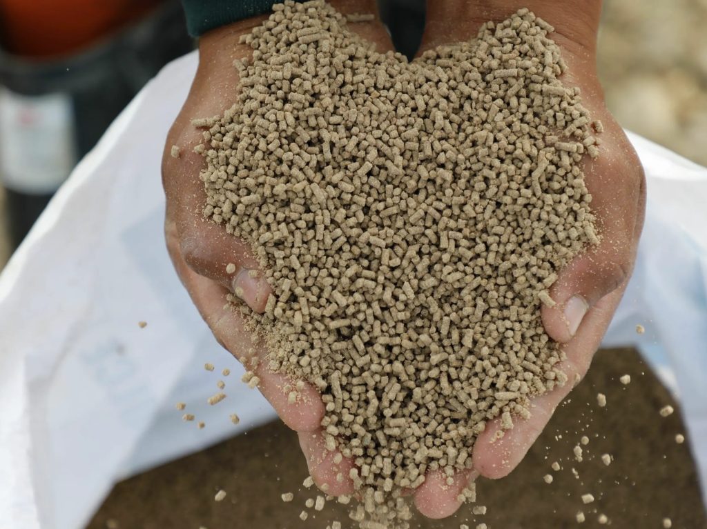 T-MEC a Examen Ganaderos Exigen Reglas Claras