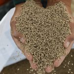 T-MEC a Examen Ganaderos Exigen Reglas Claras