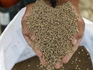 T-MEC a Examen Ganaderos Exigen Reglas Claras