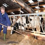 Comarca Lagunera problemas reproductivos lideran culls