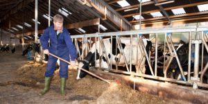 Comarca Lagunera problemas reproductivos lideran culls