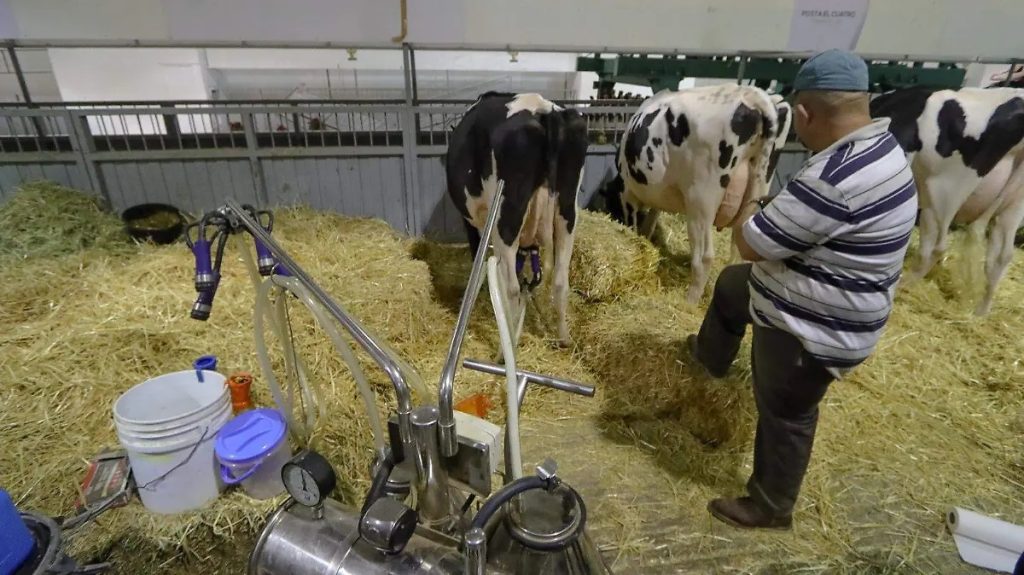 Costos de granos presionan producción de leche en Querétaro