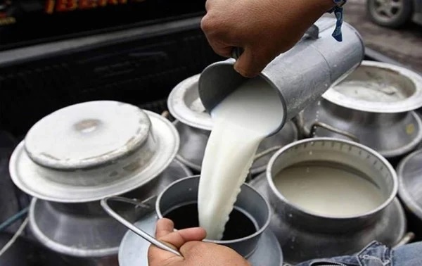 Crisis láctea insumos suben 60% y asfixian a lecheros