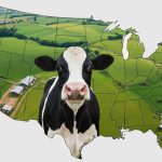 EEUU lácteo apunta liderazgo US$11 mil mdd en plantas