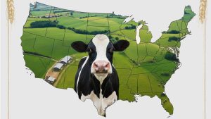 EEUU lácteo apunta liderazgo US$11 mil mdd en plantas