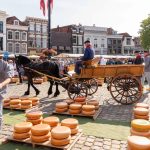El Viaje Histórico del Queso Gouda