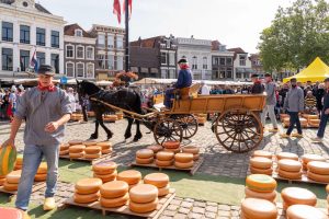 El Viaje Histórico del Queso Gouda