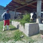 Granjas Carroll Impulsa la Rotación