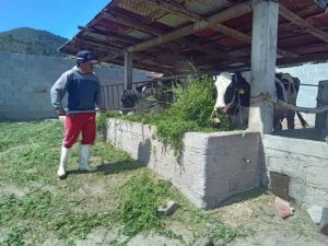 Granjas Carroll Impulsa la Rotación
