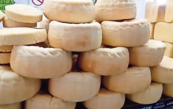 Queserías de Chihuahua al límite por suba de costos