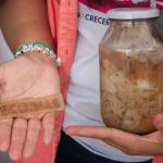 Queso en tu empaque El biomaterial que revoluciona el agro