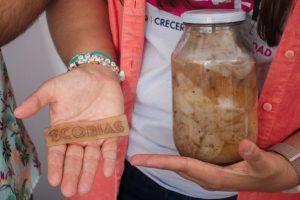 Queso en tu empaque El biomaterial que revoluciona el agro