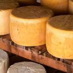 Quesos 100 Mexicanos que debes conocer