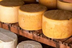 Quesos 100 Mexicanos que debes conocer