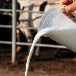 Debate en México por centro de acopio lechero sin diagnóstico