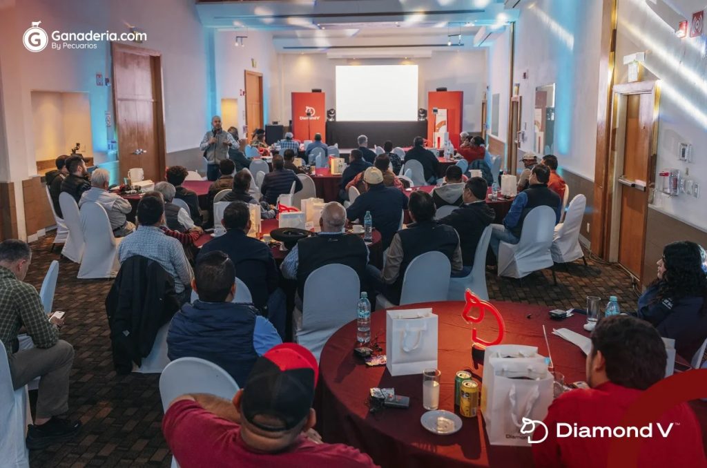 Diamond V potencia la micronutrición del ganado lechero