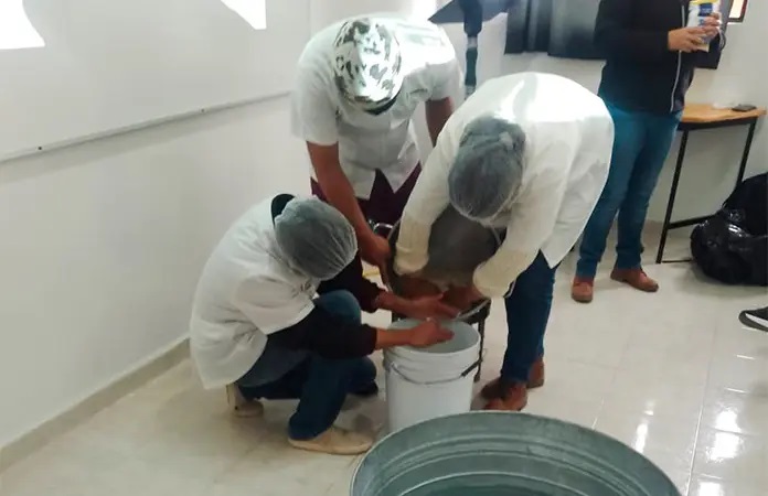 Formación láctea estudiantes aprenden a elaborar queso