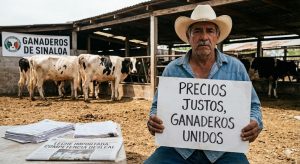Ganaderos lácteos de Sinaloa bajo presión de precios y competencia