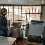 Leche segura clave para evitar brucelosis humana