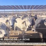 Precio de leche sube a 12 pesos en Sinaloa es suficiente