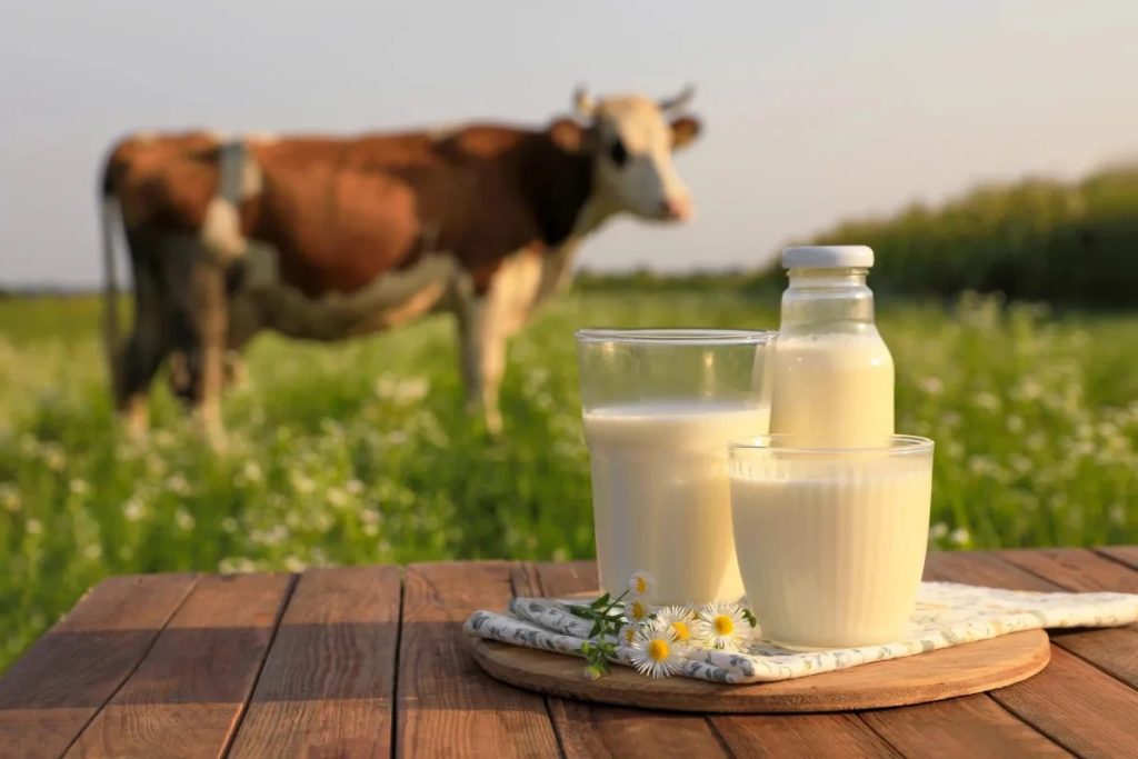 Tipos de leche animal cuál conviene y por qué