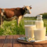 Tipos de leche animal cuál conviene y por qué
