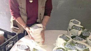 Alerta sanitaria por quesos contaminados en Tamaulipas