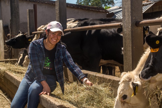 Avanza centro de acopio lechero en Libres con apoyo público