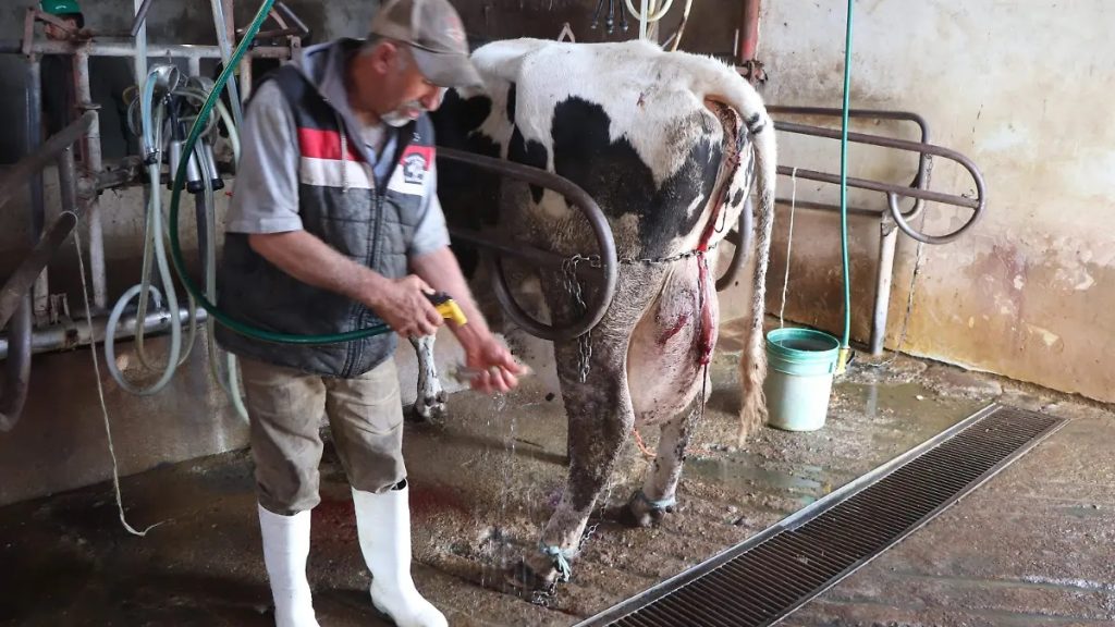 Gobierno frena especulación y baja de precio de la leche en México