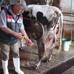 Gobierno frena especulación y baja de precio de la leche en México