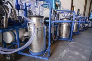 Jalisco inyecta inversión clave para potenciar lácteos