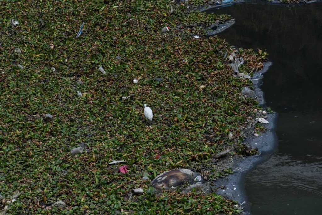 Jalisco produce 87 mil t d de biorresiduos reto y oportunidad